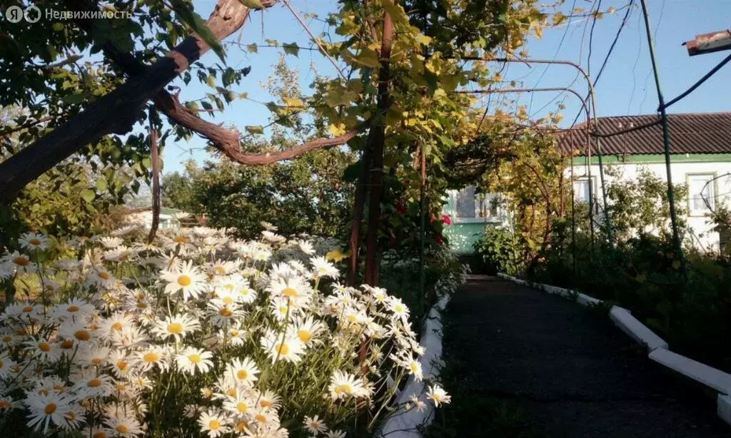 Дом в Губкин, Белгородская улица (65.3 м) - Фото 0