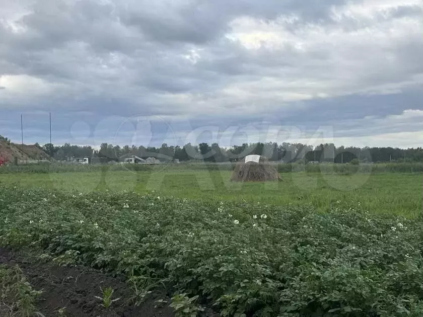 Участок 9 сот. (ИЖС) - Фото 0