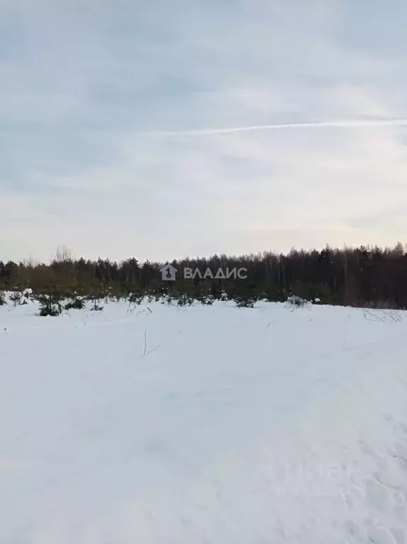 Участок в Владимирская область, Судогодский район, Вяткинское ... - Фото 0