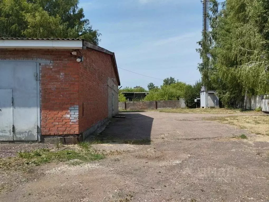 Помещение свободного назначения в Мордовия, Лямбирский район, с. ... - Фото 1