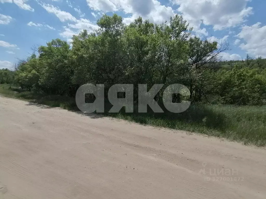 Участок в Волгоградская область, Городищенский район, Царицынское ... - Фото 2