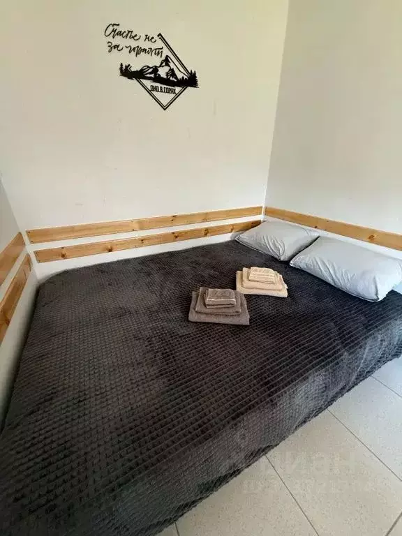 Дом в Алтай, Майминский район, с. Усть-Муны Березовая ул., 37 (25 м) - Фото 2