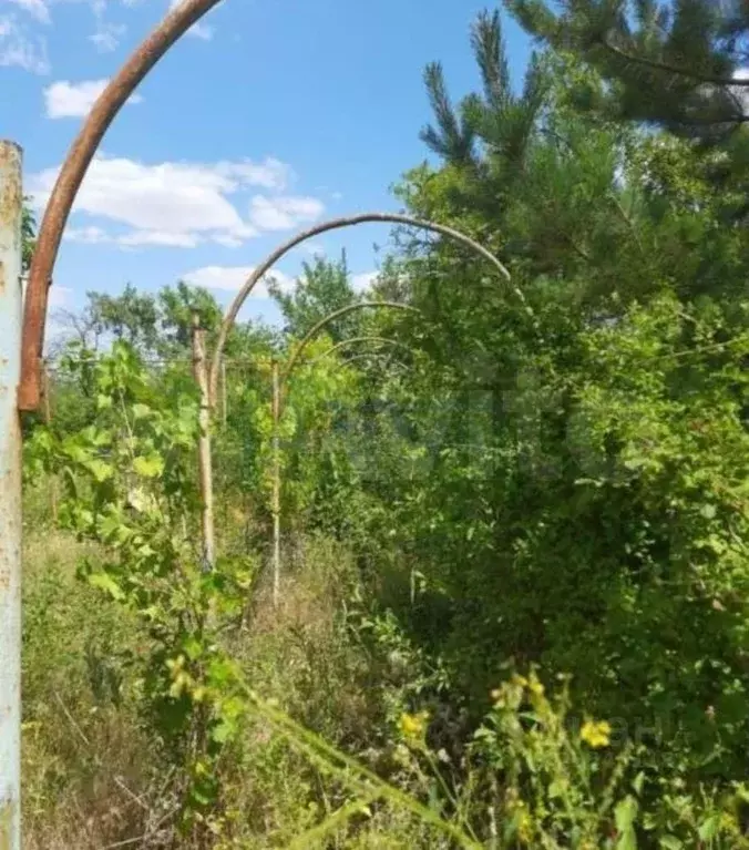 Участок 9 сот. (СНТ, ДНП) - Фото 1