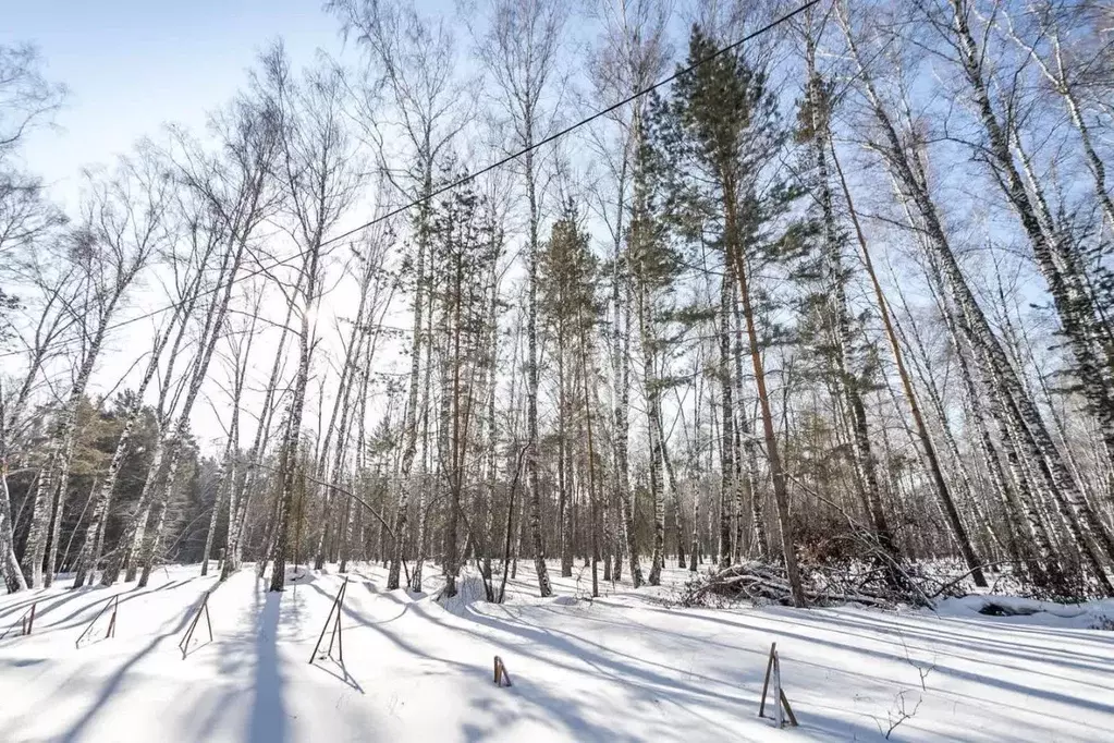 Дом в Новосибирская область, Искитимский район, Морозовский сельсовет, ... - Фото 2