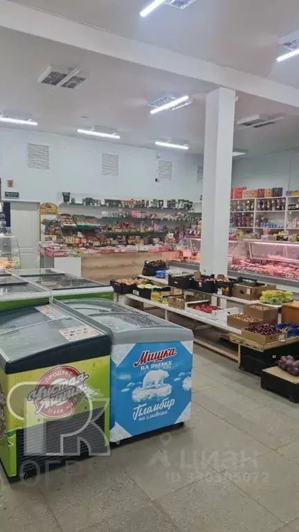 Помещение свободного назначения в Московская область, Клин городской ... - Фото 2
