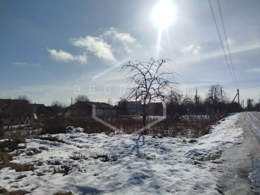 Участок в Калининградская область, Гурьевский муниципальный округ, СНТ ... - Фото 2