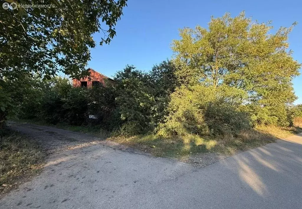 Участок в хутор Ленина, СНТ Восток, Садовая улица, 45 (7.7 м) - Фото 2