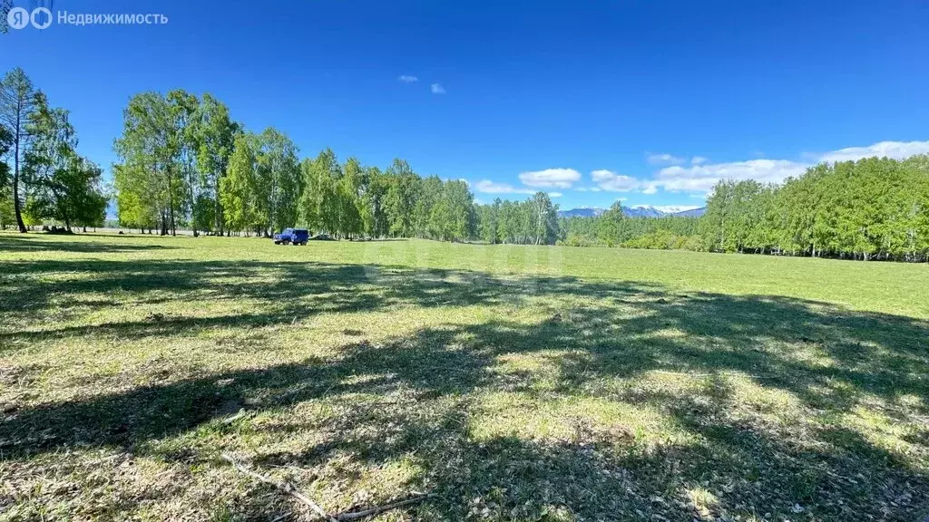 Участок в Усть-Коксинский район, село Мульта (24.84 м) - Фото 1