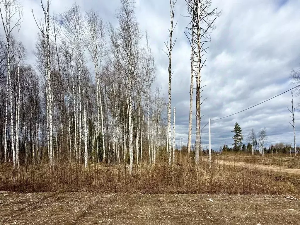 Участок в Новгородская область, Валдай ул. Алексея Маресьева, 78 (15.0 ... - Фото 2