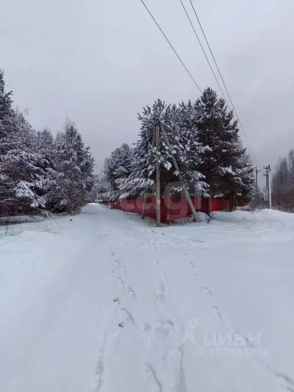 Участок в Вологодская область, Усть-Кубинский муниципальный округ, ... - Фото 2