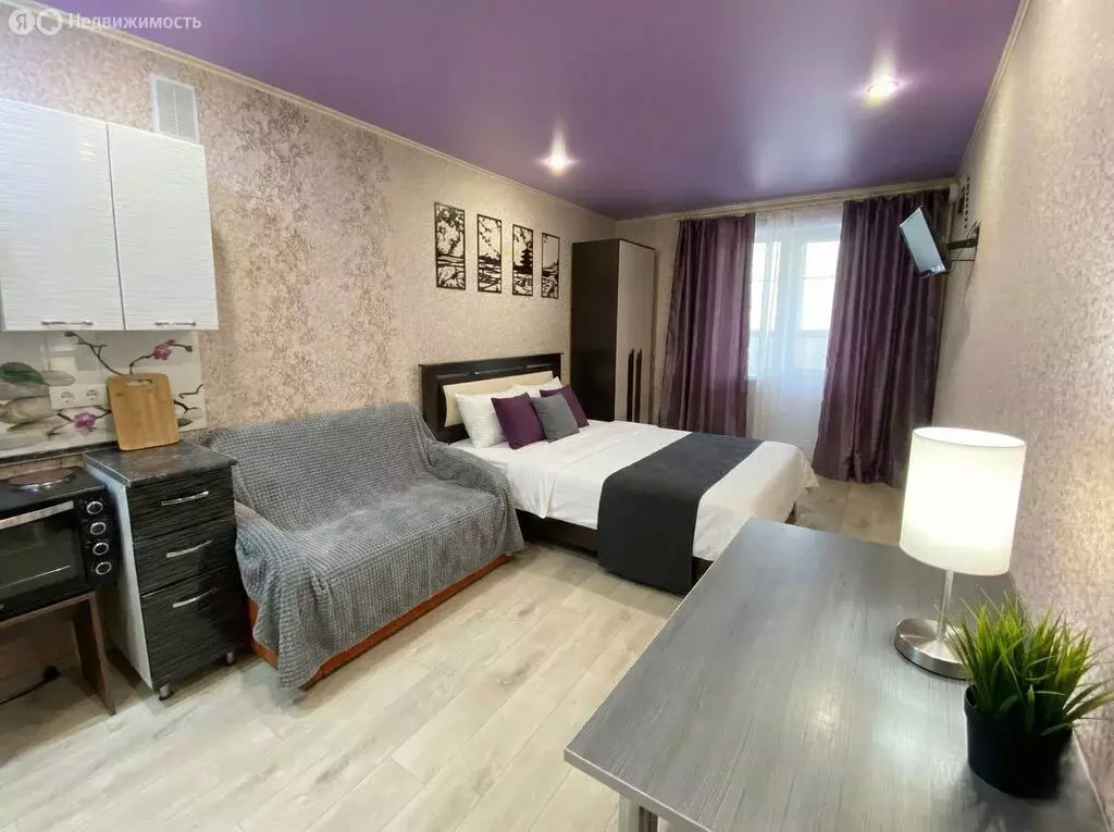 Квартира-студия: Саратов, Огородная улица, 157 (23 м) - Фото 2