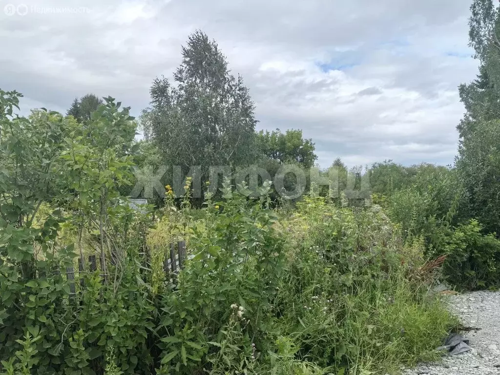 Участок в Новосибирск, СНТ Золотая Горка (9 м) - Фото 1