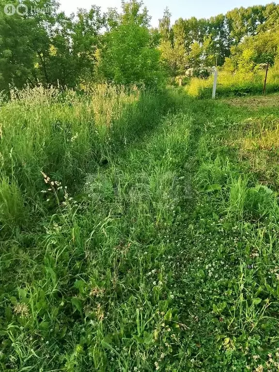 Участок в Кемерово, СНТ Рудничное (10 м) - Фото 0