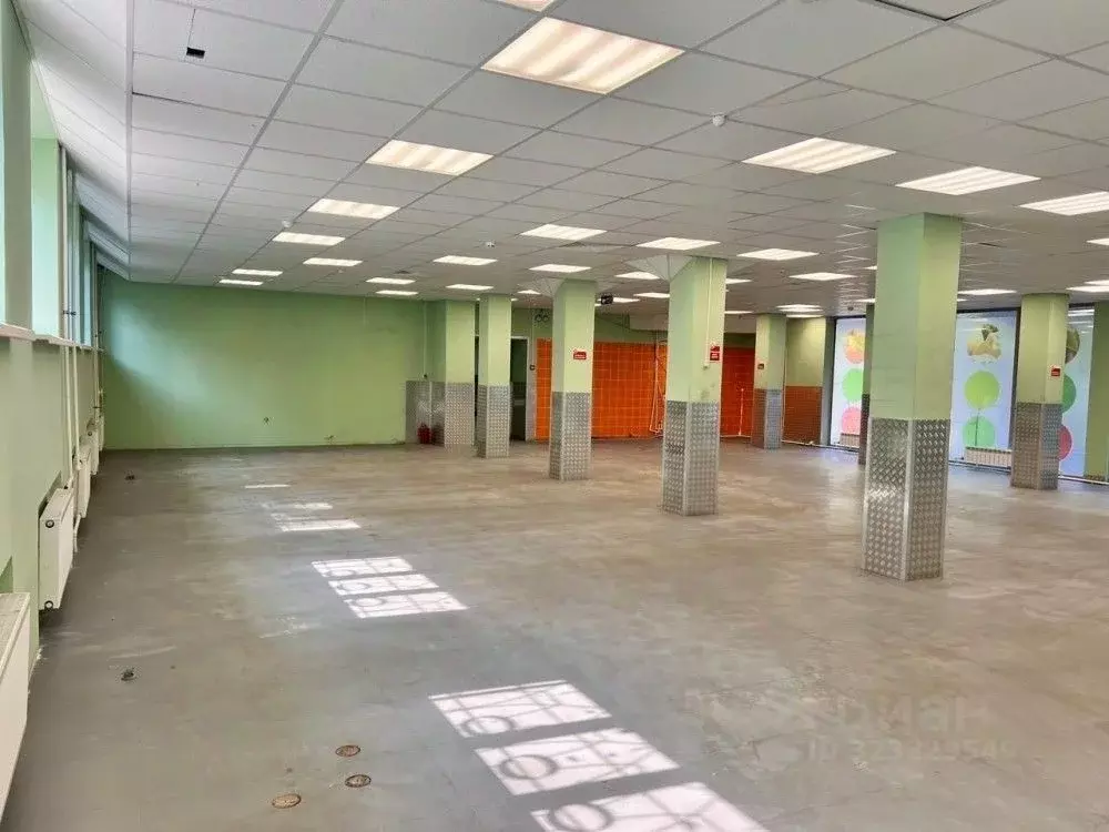 Торговая площадь в Московская область, Солнечногорск городской округ, ... - Фото 2