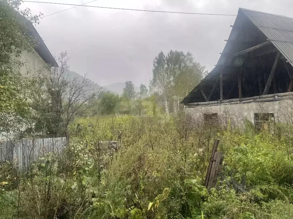 Участок в Алтай, Майминский район, с. Соузга Молодежная ул. (20.98 ... - Фото 1