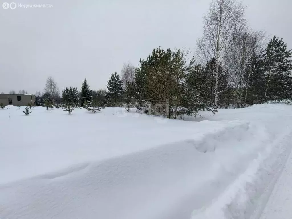 Участок в Завьяловский район, деревня Крестовоздвиженское (10 м) - Фото 2
