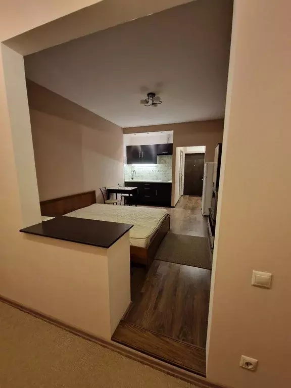 Продаётся квартира-студия, 28.9 м - Фото 0