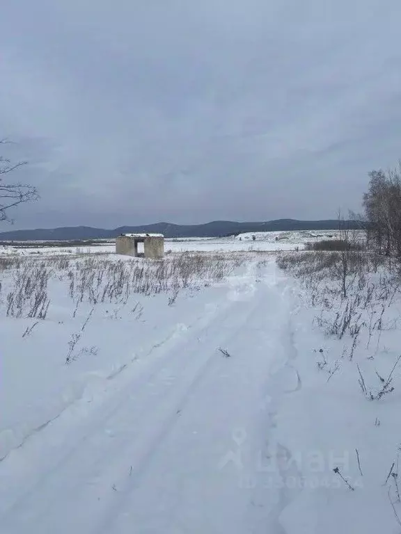 Участок в Забайкальский край, Улетовский муниципальный округ, с. Арей  ... - Фото 2