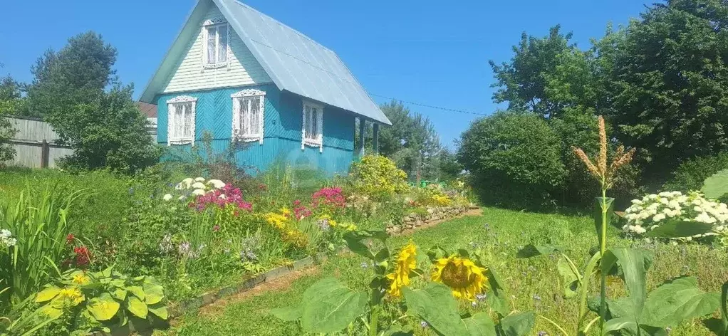 Дом в Вологодская область, д. Лисицыно  (58 м) - Фото 1
