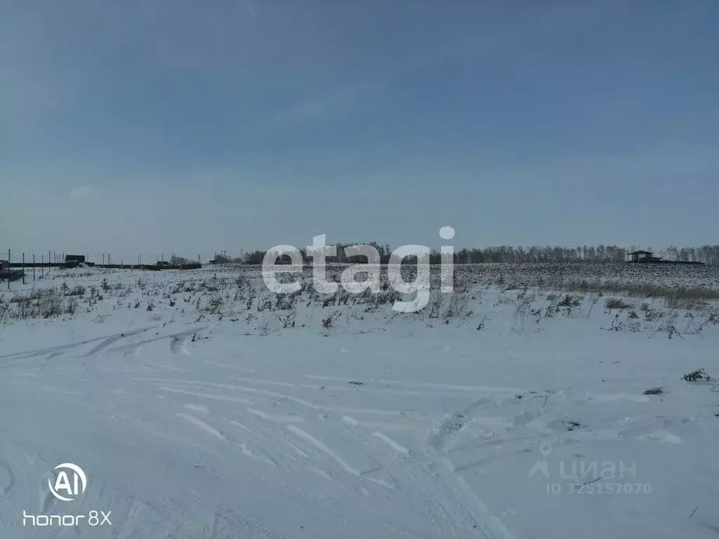 Участок в Красноярский край, Красноярск городской округ, с. Дрокино ... - Фото 1