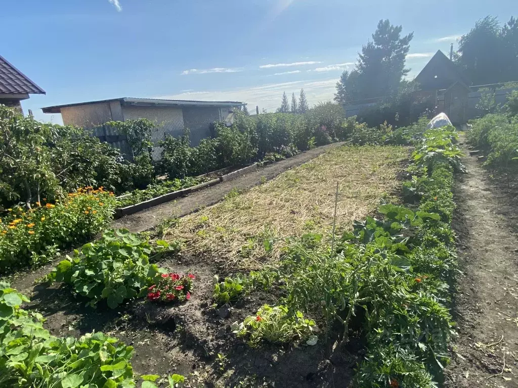 Участок в Омская область, Омский район, Магистральное с/пос, с. ... - Фото 2