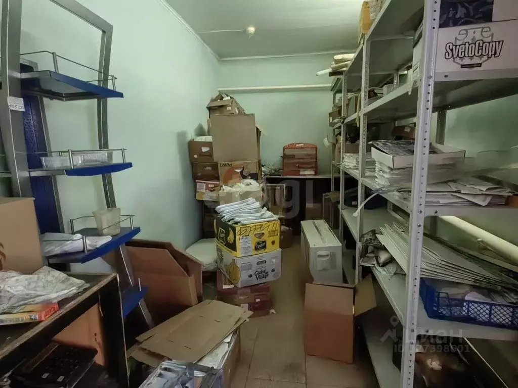 Торговая площадь в Воронежская область, Новоусманский район, пос. ... - Фото 2