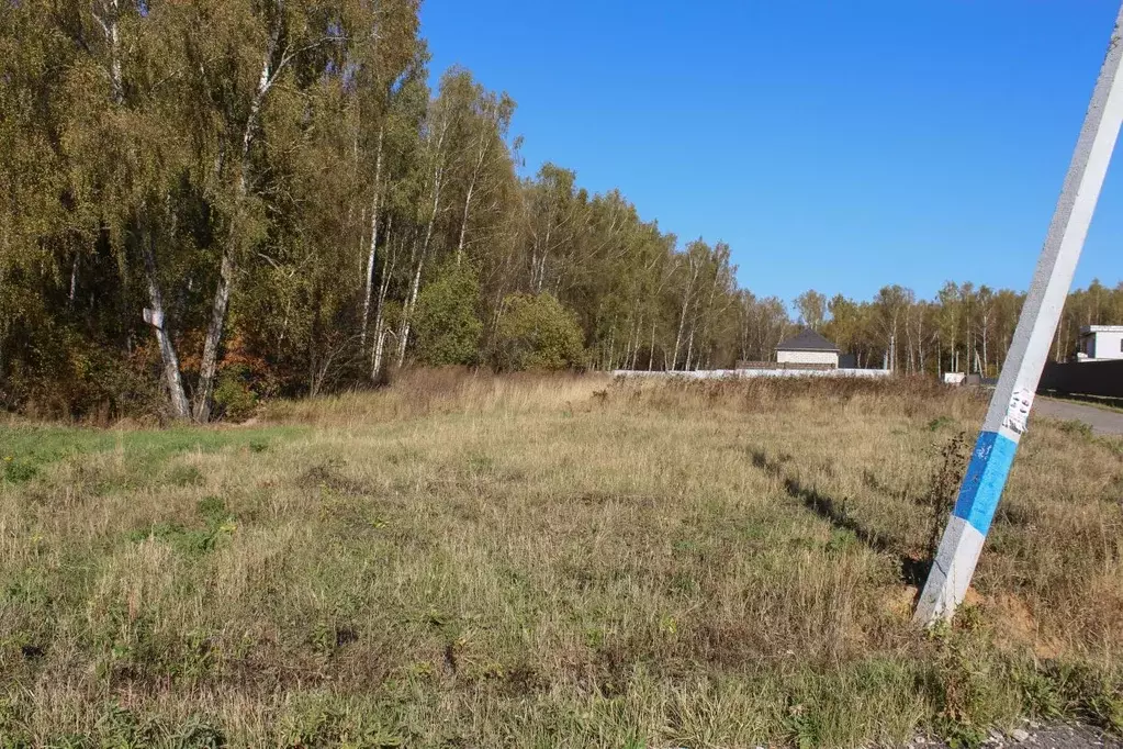 Участок в Московская область, Домодедово городской округ, д. Минаево, ... - Фото 0