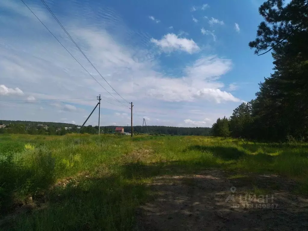 Участок в Свердловская область, Белоярский городской округ, д. Ключи ... - Фото 1