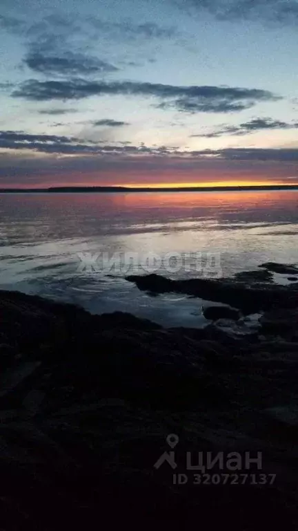 Участок в Новосибирская область, Ордынский район, д. Ерестная ... - Фото 0