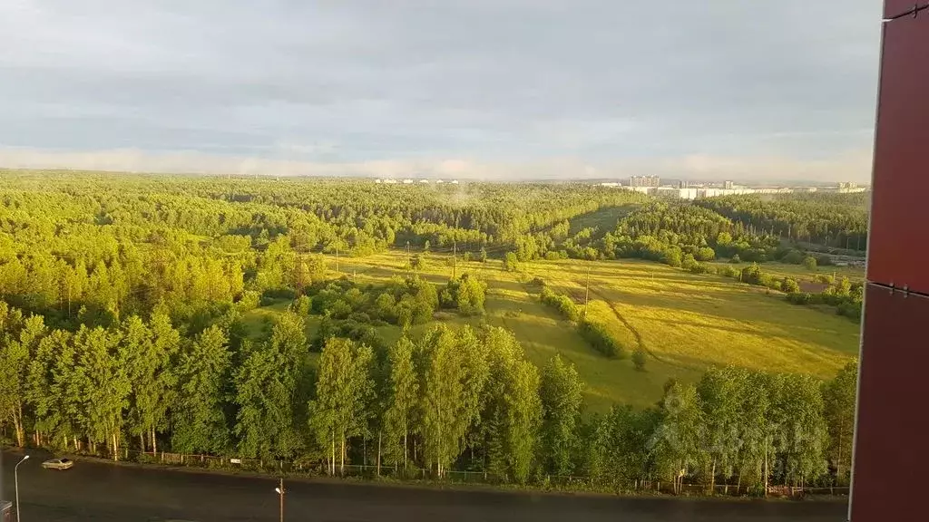 2-к кв. Карелия, Петрозаводск ул. Энтузиастов, 17 (76.0 м) - Фото 1