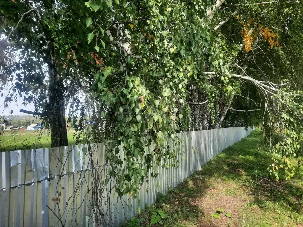 Участок в Алтайский край, Алтайский район, с. Алтайское ул. Зеленый ... - Фото 2