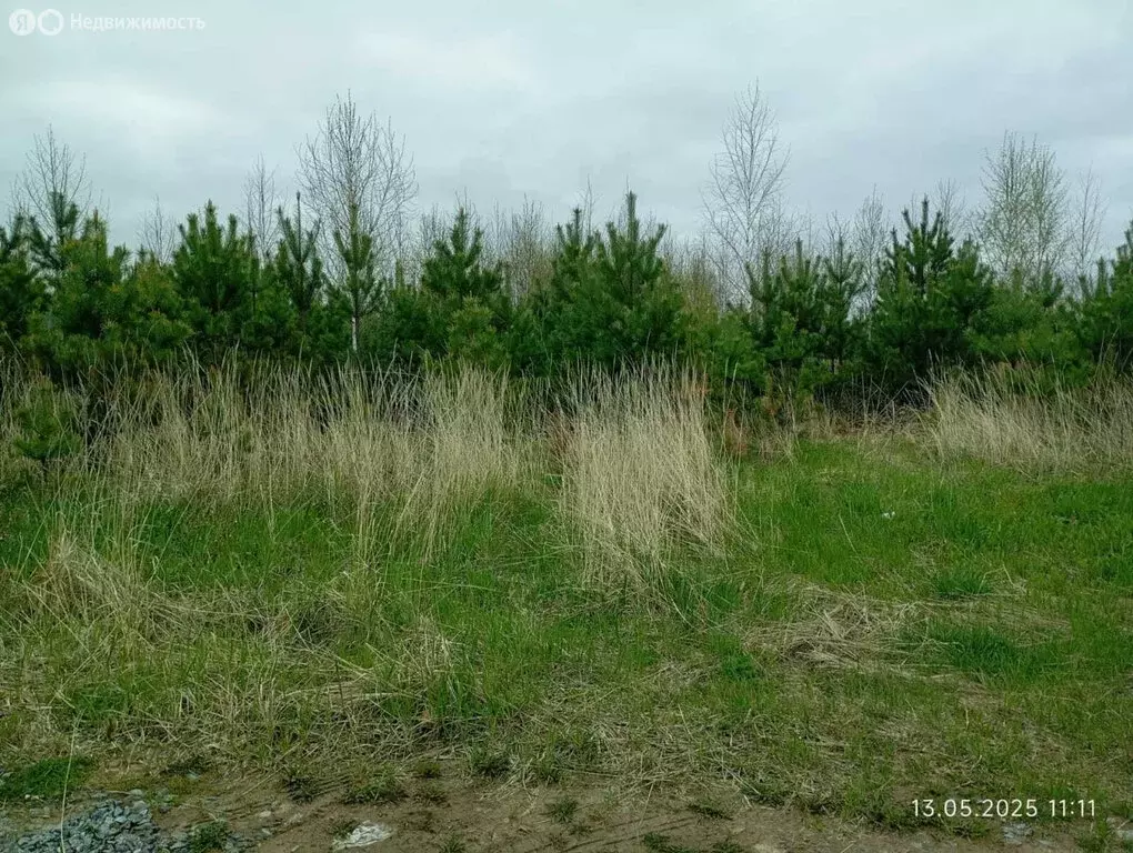 Участок в село Малобрусянское, Южная улица, 18 (10 м) - Фото 0