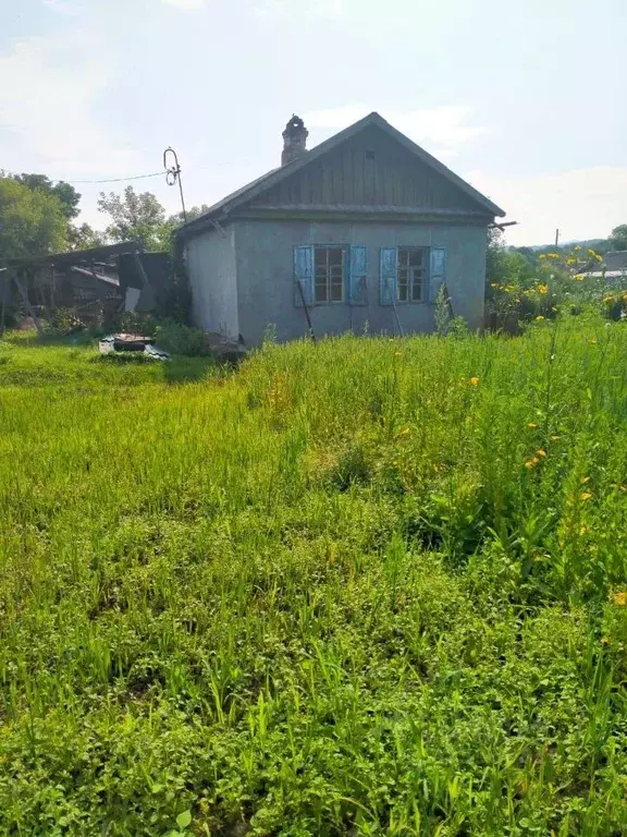 Дом в Приморский край, Партизанский муниципальный округ, с. Золотая ... - Фото 0