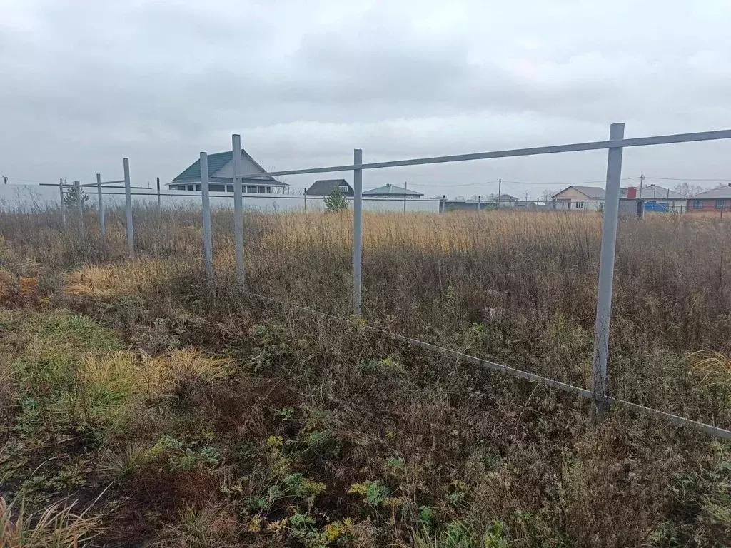 Участок в Тамбовская область, Тамбовский муниципальный округ, д. ... - Фото 2