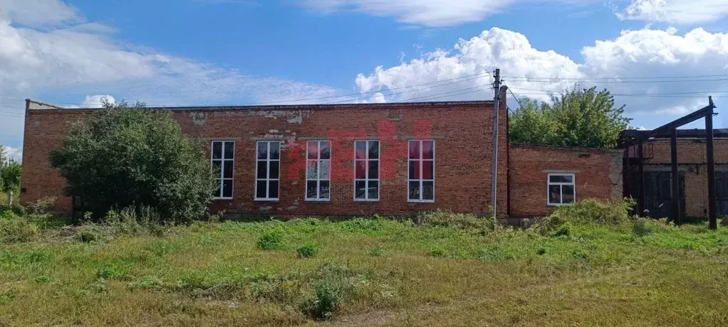 Производственное помещение в Пензенская область, с. Бессоновка ул. ... - Фото 1