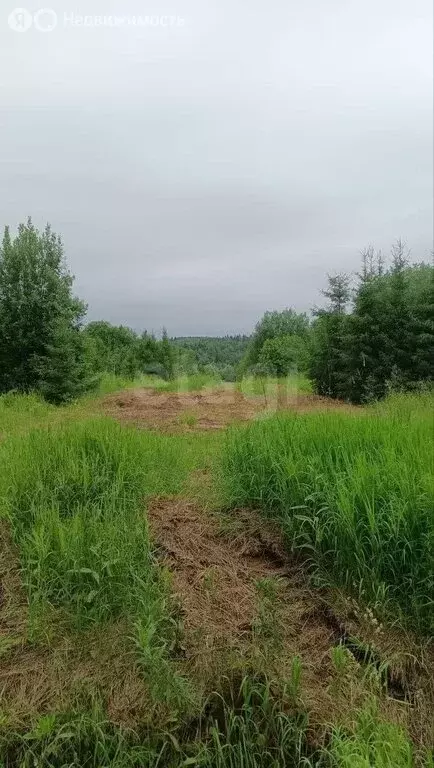 Участок в Пермский муниципальный округ, деревня Малая Мостовая (7 м) - Фото 0