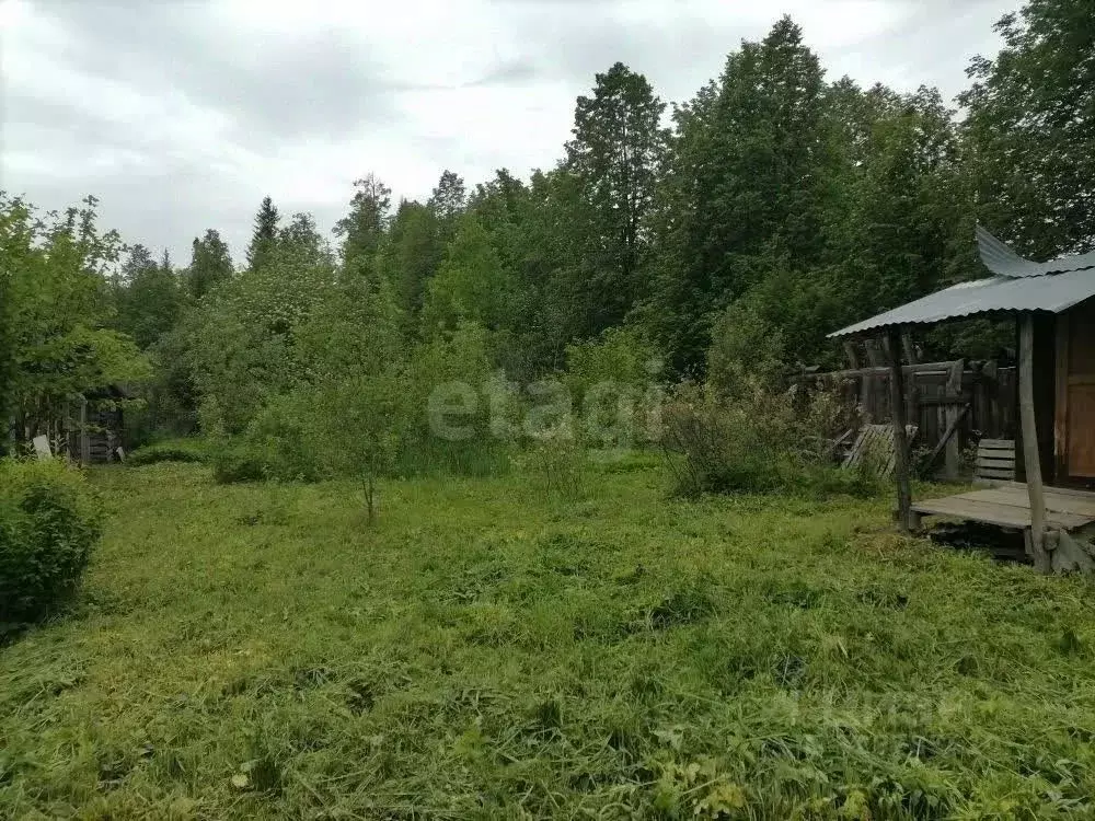 Участок в Пермский край, Пермский муниципальный округ, пос. Кукуштан  ... - Фото 2