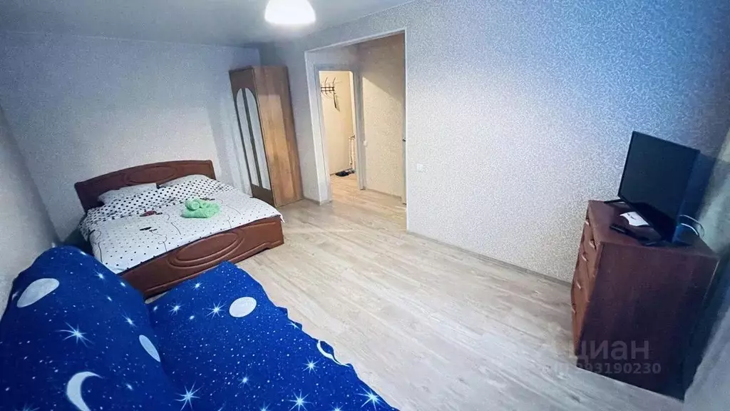 1-к кв. Московская область, Ногинск Богородский городской округ, ул. ... - Фото 2