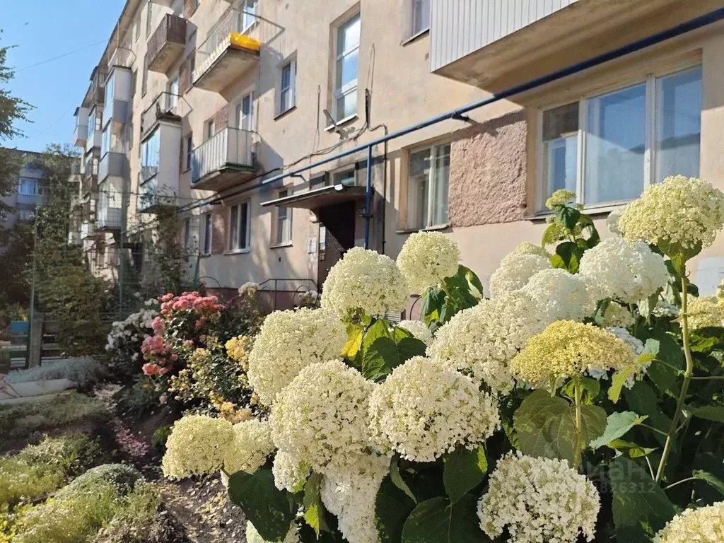 1-к кв. Новгородская область, Великий Новгород Район Торговая сторона, ... - Фото 0