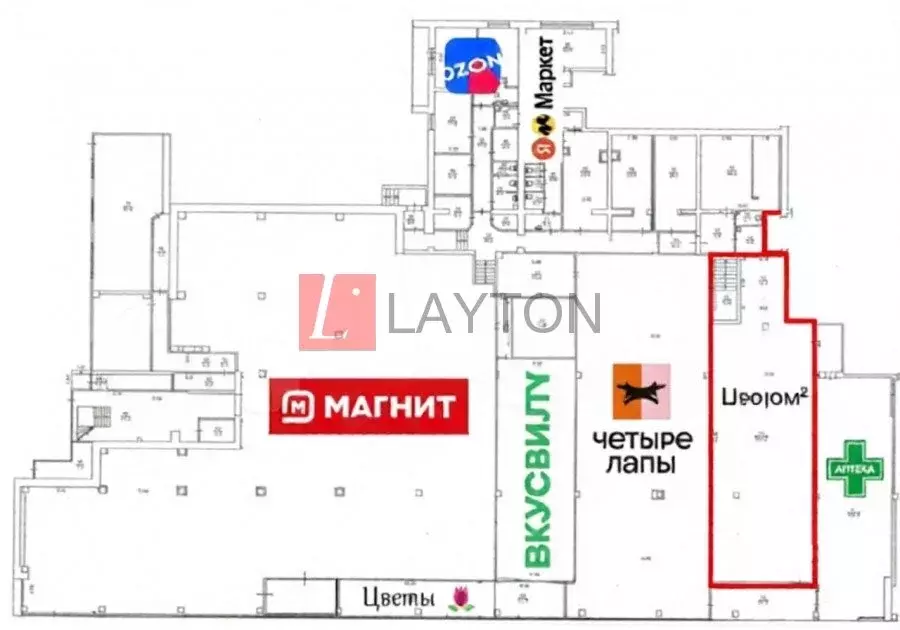 Помещение свободного назначения (220 м) - Фото 2