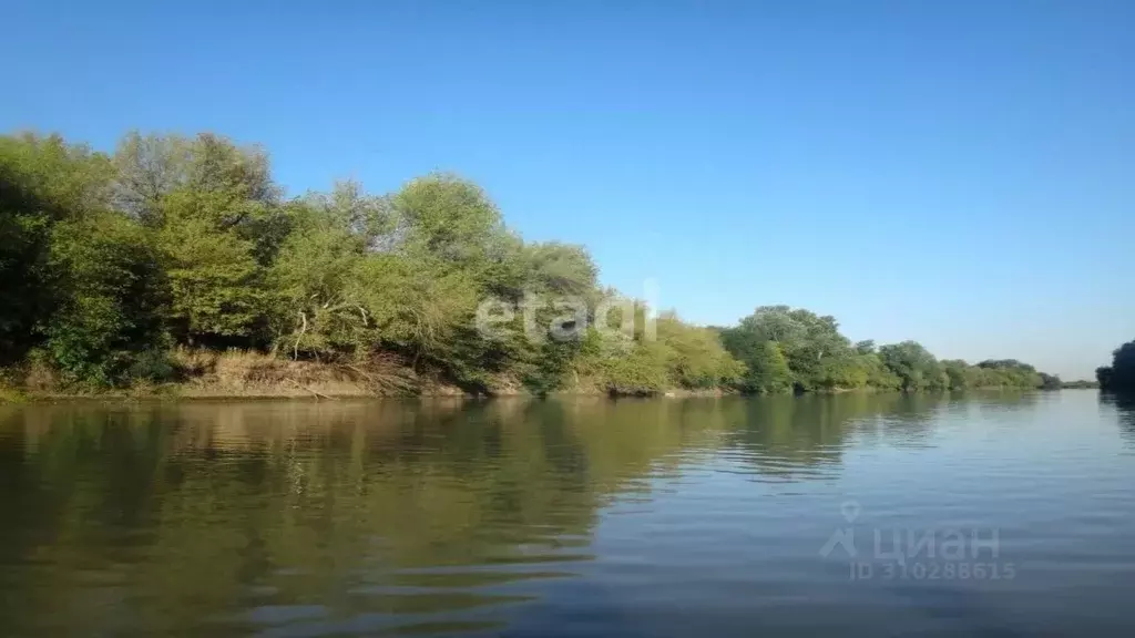 Участок в Краснодарский край, Ленинградская ст-ца ул. Красная (10.0 ... - Фото 1