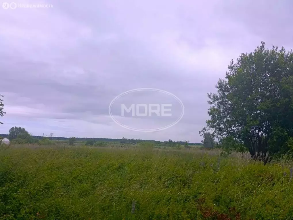 Участок в Калининградская область, Гурьевский муниципальный округ, ... - Фото 2
