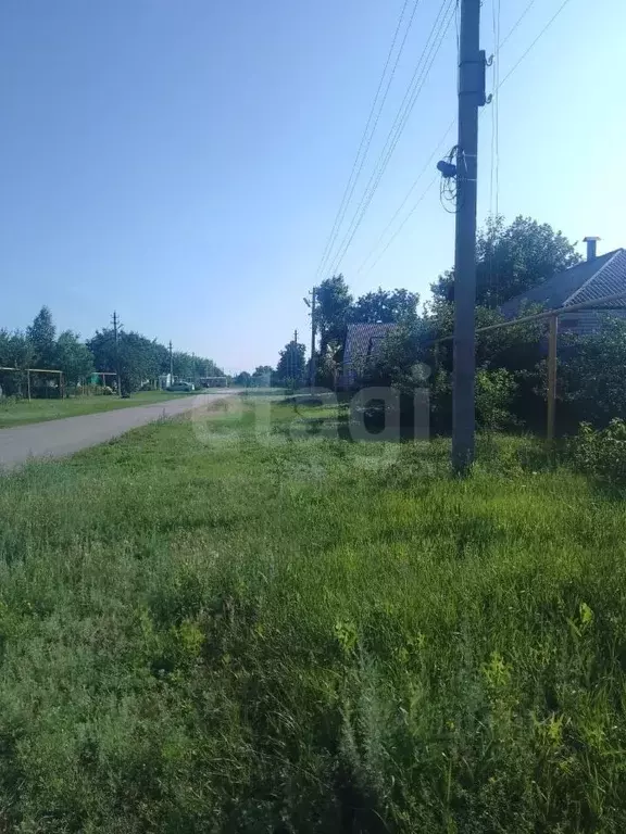 Дом в Воронежская область, Лискинский район, Нижнеикорецкое с/пос, ... - Фото 1