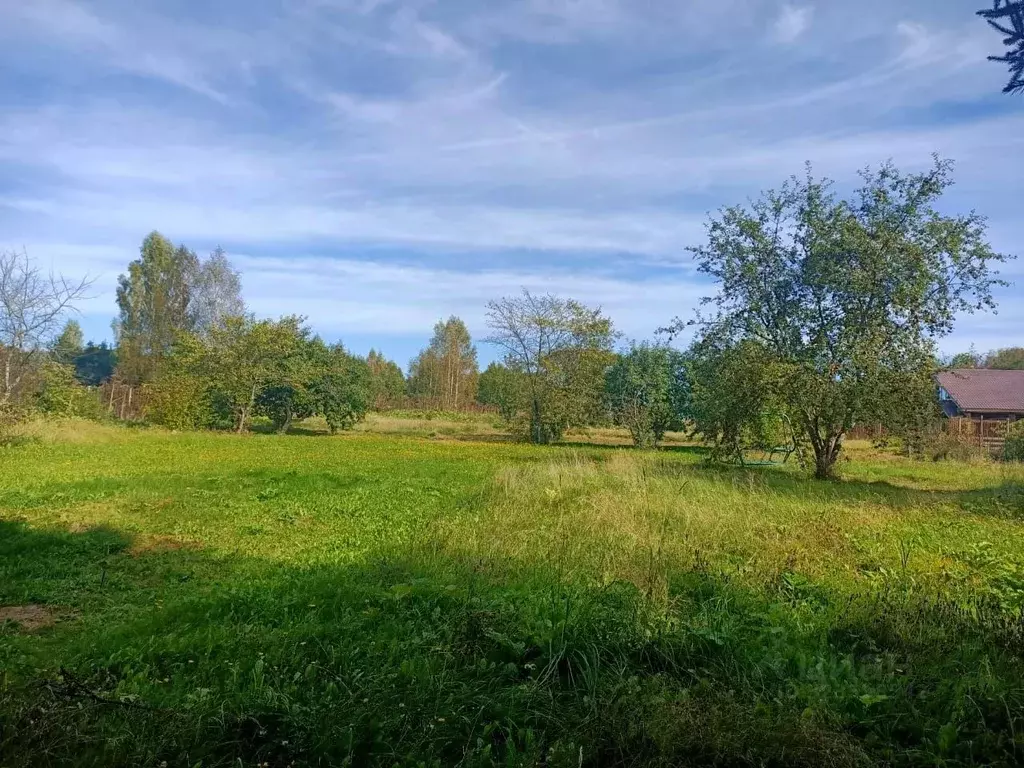 Участок в Московская область, Рузский муниципальный округ, пос. ... - Фото 1