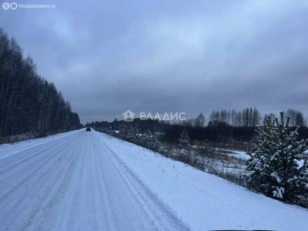 Участок в Нижегородская область, Балахнинский муниципальный округ, ... - Фото 0