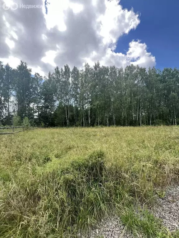 Участок в село Мраморское, Берёзовая улица (20 м) - Фото 1