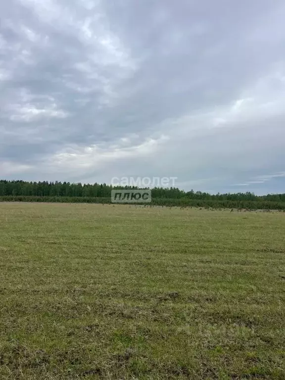 Участок в Иркутская область, Иркутский муниципальный округ, д. ... - Фото 1