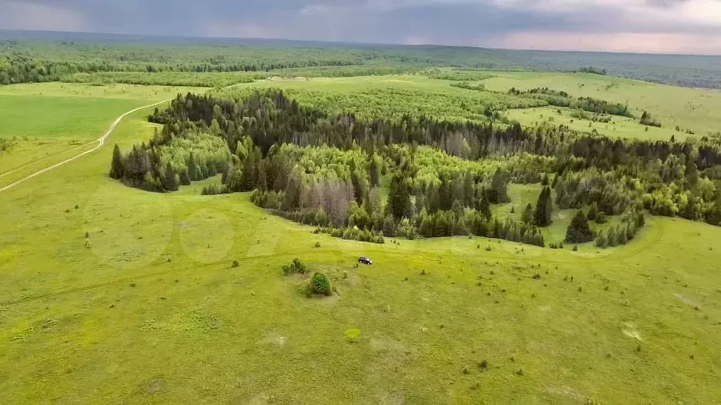 Участок 66,87 га (СНТ, ДНП) - Фото 1