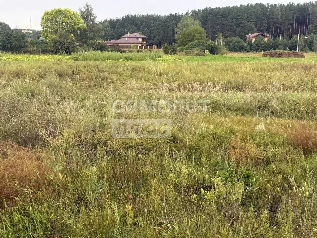 Участок в Липецкая область, Липецк Желтые Пески мкр, ул. Буденного ... - Фото 1