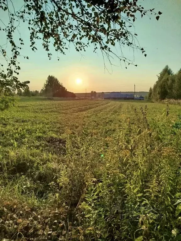 Участок в Пензенская область, Бессоновский район, с. Сосновка ... - Фото 1